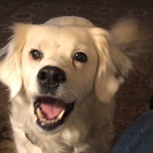 Meet your Posher, Gail